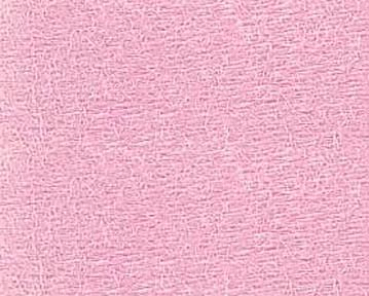 Bild folgt in Kürze