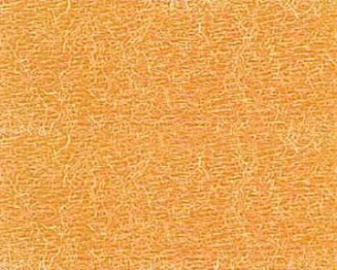 Bild folgt in Kürze