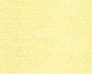 Bild folgt in Kürze