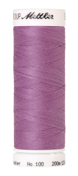 Bild folgt in Kürze