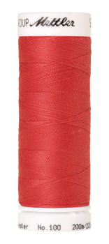 Bild folgt in Kürze