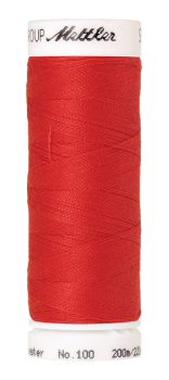 Bild folgt in Kürze