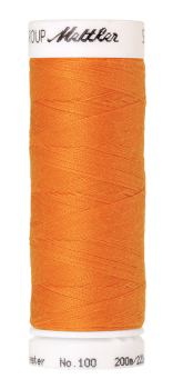 Bild folgt in Kürze