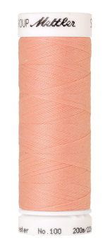 Bild folgt in Kürze