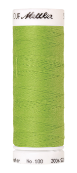 Bild folgt in Kürze