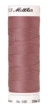 Bild folgt in Kürze