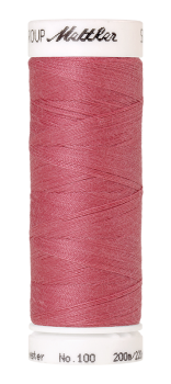 Bild folgt in Kürze