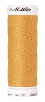 Bild folgt in Kürze