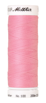 Bild folgt in Kürze