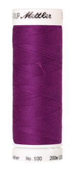 Bild folgt in Kürze