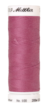 Bild folgt in Kürze