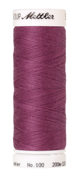 Bild folgt in Kürze