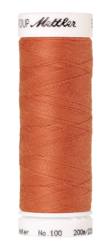 Bild folgt in Kürze