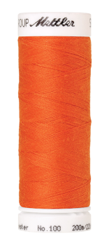 Bild folgt in Kürze