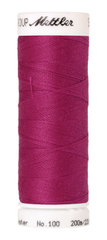 Bild folgt in Kürze