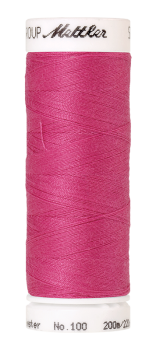 Bild folgt in Kürze