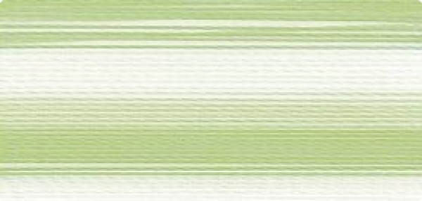 Bild folgt in Kürze