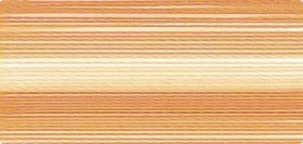 Bild folgt in Kürze