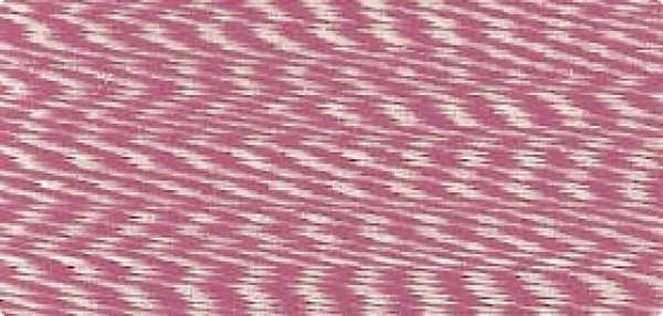 Bild folgt in Kürze