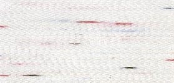 Bild folgt in Kürze