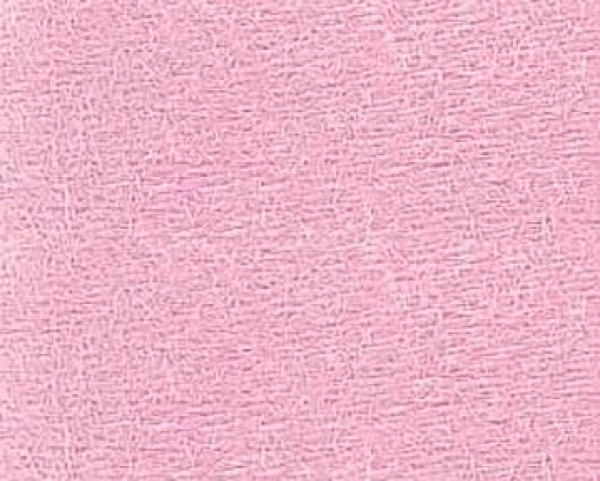 Bild folgt in Kürze