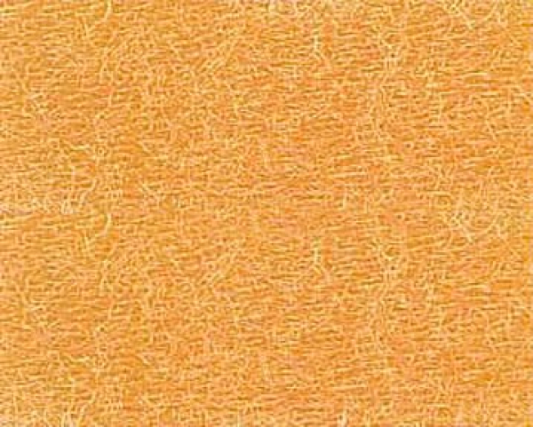 Bild folgt in Kürze