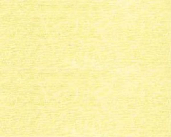 Bild folgt in Kürze