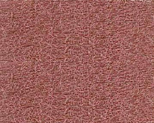 Bild folgt in Kürze