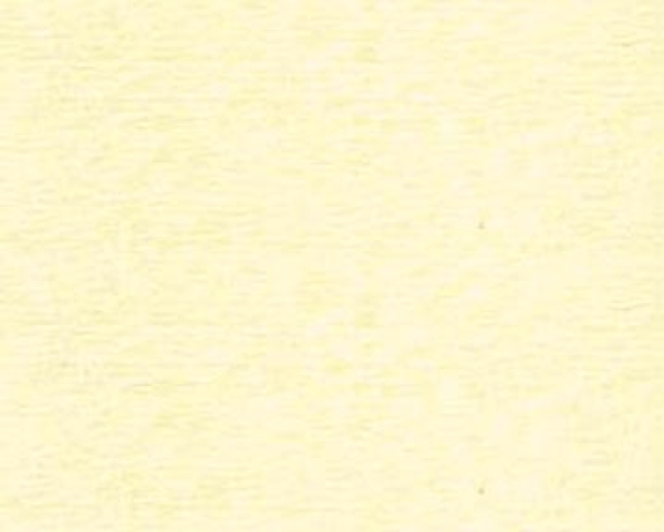 Bild folgt in Kürze