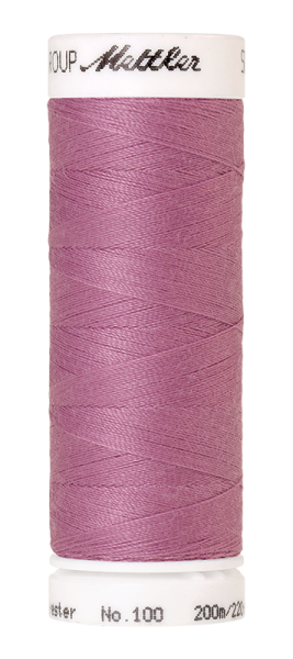 Bild folgt in Kürze