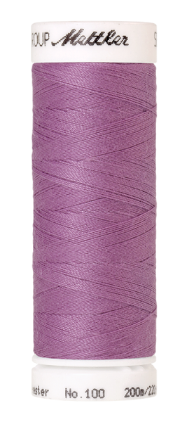 Bild folgt in Kürze