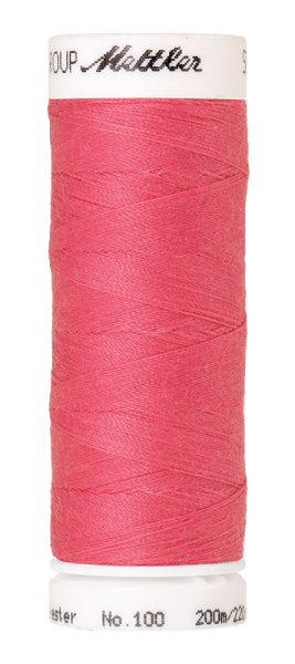 Bild folgt in Kürze