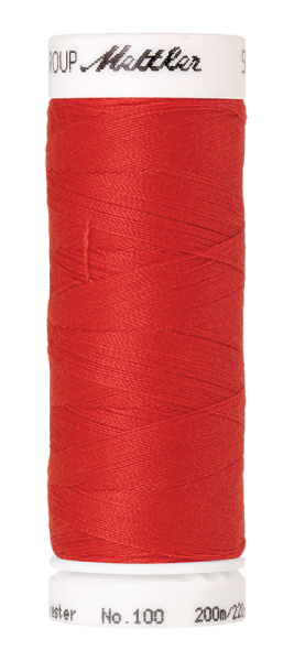 Bild folgt in Kürze