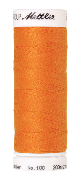 Bild folgt in Kürze