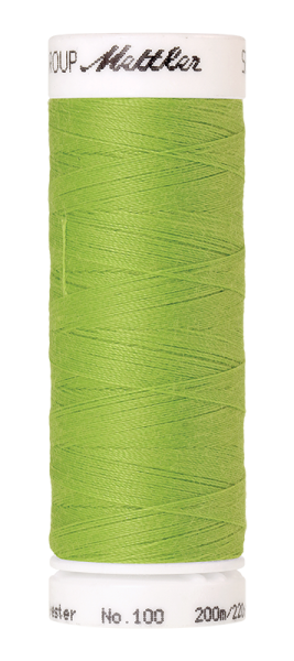 Bild folgt in Kürze