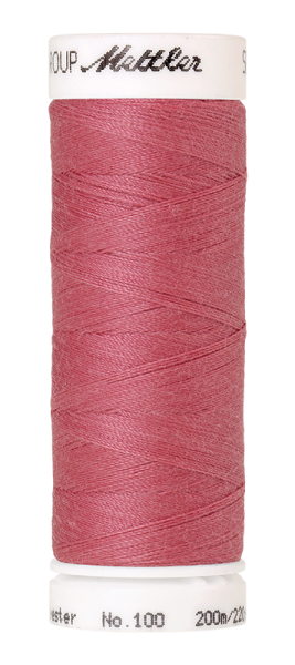 Bild folgt in Kürze