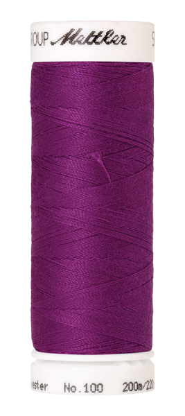 Bild folgt in Kürze