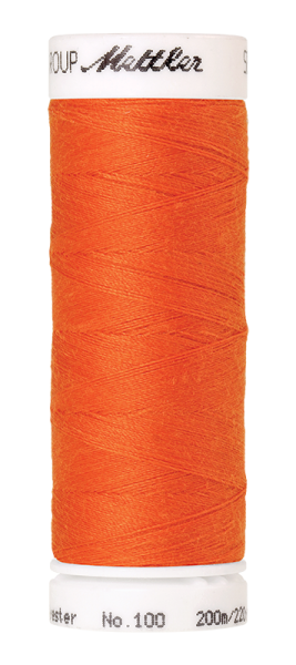 Bild folgt in Kürze