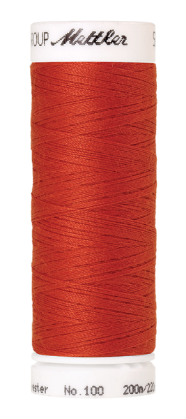 Bild folgt in Kürze