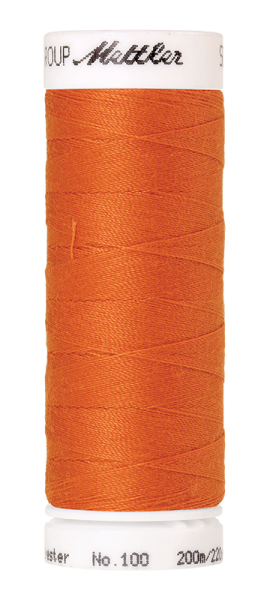 Bild folgt in Kürze