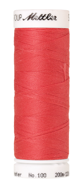 Bild folgt in Kürze