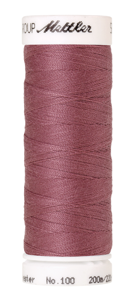 Bild folgt in Kürze